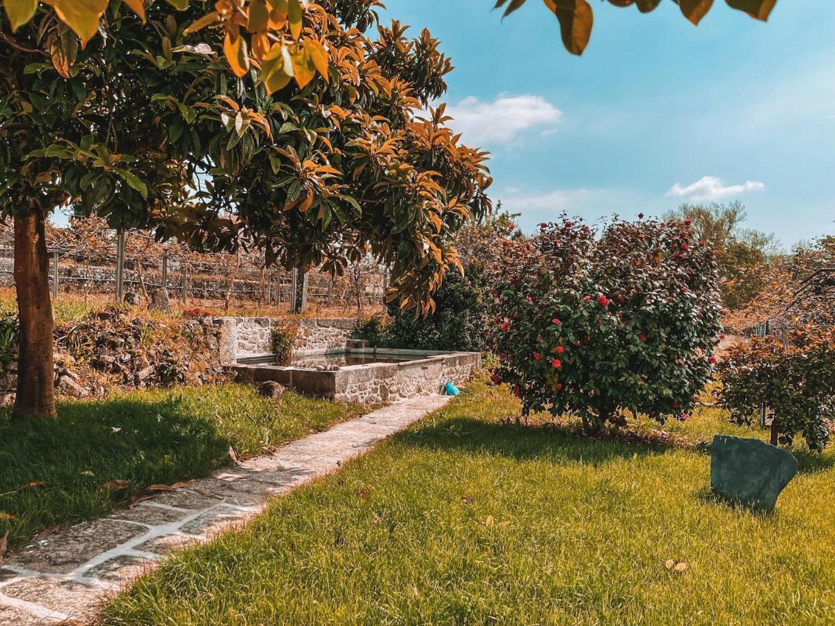 Windmill House Villa Santa Maria da Feira Ngoại thất bức ảnh